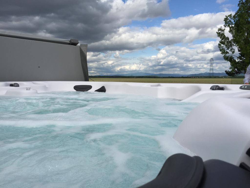 Villa L'Atelier 4 stars Luxury, Hot Tub, Pool à Nambsheim Chambre photo