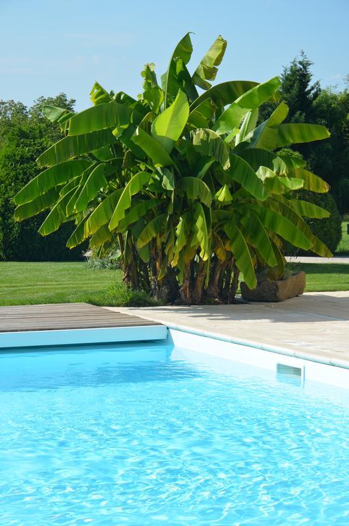 Villa L'Atelier 4 stars Luxury, Hot Tub, Pool à Nambsheim Extérieur photo